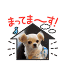 Lana 2nd Birthday（個別スタンプ：8）