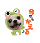 Lana 2nd Birthday（個別スタンプ：12）