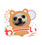 Lana 2nd Birthday（個別スタンプ：16）