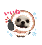 Lana 2nd Birthday（個別スタンプ：17）