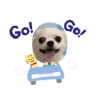 Lana 2nd Birthday（個別スタンプ：34）