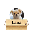 Lana 2nd Birthday（個別スタンプ：39）