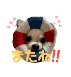 ACEスタンプ2（個別スタンプ：8）