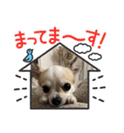 ACEスタンプ2（個別スタンプ：32）