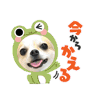 ACEスタンプ2（個別スタンプ：33）