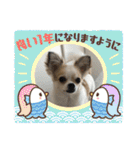 ACEスタンプ2（個別スタンプ：39）
