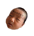 梅and柚（個別スタンプ：8）