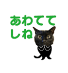 福井弁の黒猫（個別スタンプ：4）