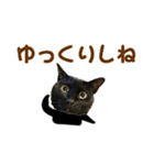 福井弁の黒猫（個別スタンプ：8）