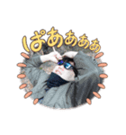 YouTuberスタンプ【クロム】（個別スタンプ：17）
