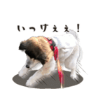 むちゃむちゃ おばあちゃん犬スタンプ（個別スタンプ：3）