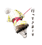 むちゃむちゃ おばあちゃん犬スタンプ（個別スタンプ：4）