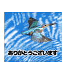 秋から冬への季節のスタンプ（個別スタンプ：10）