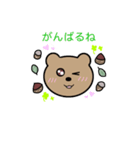 孫のくま（個別スタンプ：1）