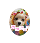 メルリキニコスタンプ2（個別スタンプ：9）