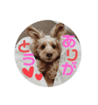 メルリキニコスタンプ2（個別スタンプ：10）