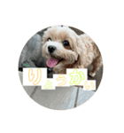 メルリキニコスタンプ2（個別スタンプ：11）