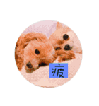 メルリキニコスタンプ2（個別スタンプ：13）
