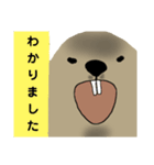 どあっぷマーモット 丁寧語（個別スタンプ：4）