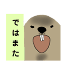 どあっぷマーモット 丁寧語（個別スタンプ：16）