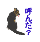 ジャーマンシェパード  なごみちゃん（個別スタンプ：2）