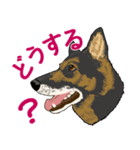 ジャーマンシェパード  なごみちゃん（個別スタンプ：3）