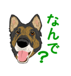 ジャーマンシェパード  なごみちゃん（個別スタンプ：4）