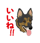 ジャーマンシェパード  なごみちゃん（個別スタンプ：5）