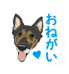ジャーマンシェパード  なごみちゃん（個別スタンプ：8）
