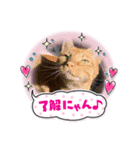 QOL爆上がり人生スタンプ（個別スタンプ：32）