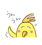 らくがき おかめインコ 3（個別スタンプ：13）