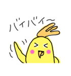 らくがき おかめインコ 3（個別スタンプ：16）
