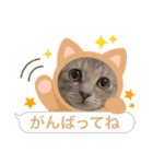 ホープとポポ日常スタンプ（個別スタンプ：3）