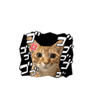 ホープとポポ日常スタンプ（個別スタンプ：5）