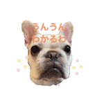 フレンチブルドッグの福（個別スタンプ：6）