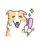 犬種別ボーダーコリー(クリーム×ホワイト)（個別スタンプ：23）