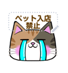 【書き込める】みけねこさんの色々な顔♪鮪（個別スタンプ：19）