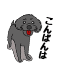 友達の犬2（個別スタンプ：6）