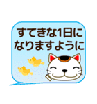 大人の優しい気づかい 日常 招き猫 修正版（個別スタンプ：1）