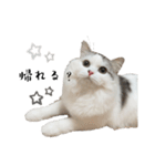 グゥちゃんスタンプ（個別スタンプ：2）