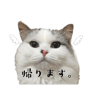 グゥちゃんスタンプ（個別スタンプ：3）