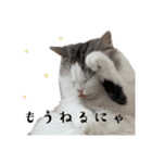 グゥちゃんスタンプ（個別スタンプ：5）