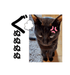 可愛い過ぎるココハク（個別スタンプ：2）