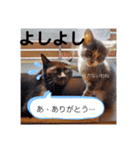 可愛い過ぎるココハク（個別スタンプ：5）
