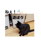 可愛い過ぎるココハク（個別スタンプ：9）