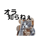 可愛い過ぎるココハク（個別スタンプ：10）