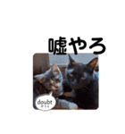 可愛い過ぎるココハク（個別スタンプ：12）