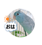 マメルリハのリル15（個別スタンプ：5）