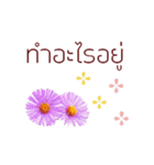 タイ語で花の動くスタンプ（個別スタンプ：14）