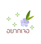 タイ語で花の動くスタンプ（個別スタンプ：21）